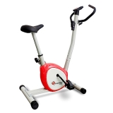 PowerMax Fitness Premiun Upright Exercise Bike